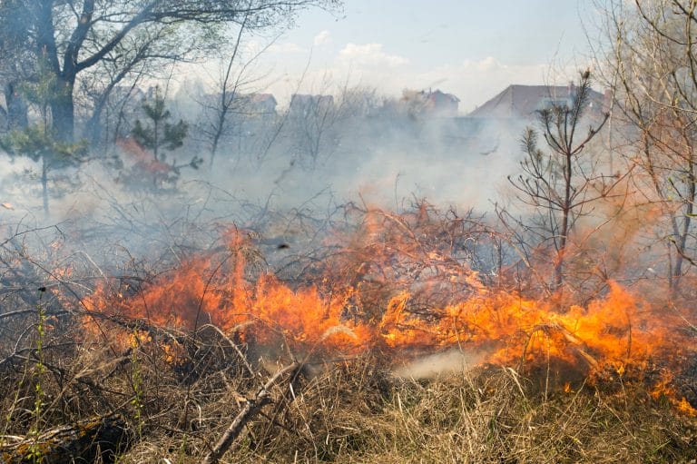 California Wildfires: Legal Rights and Recovery