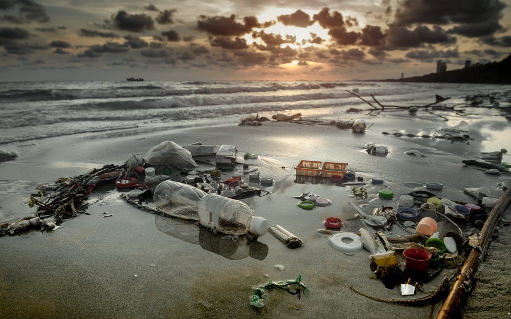 Imperial Beach Contamination Crisis: Protect Your Rights