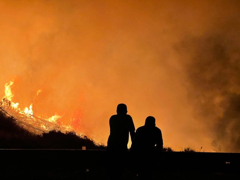 The Devastation of the Palisades Fire: Understanding Your Legal Options